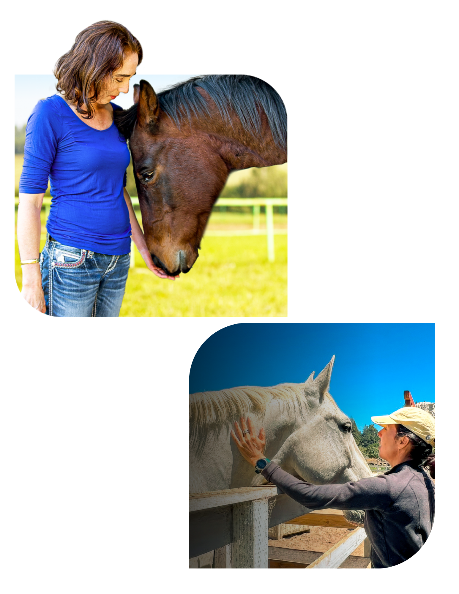 Monica providing grounded connection, care and joy to her horse clients