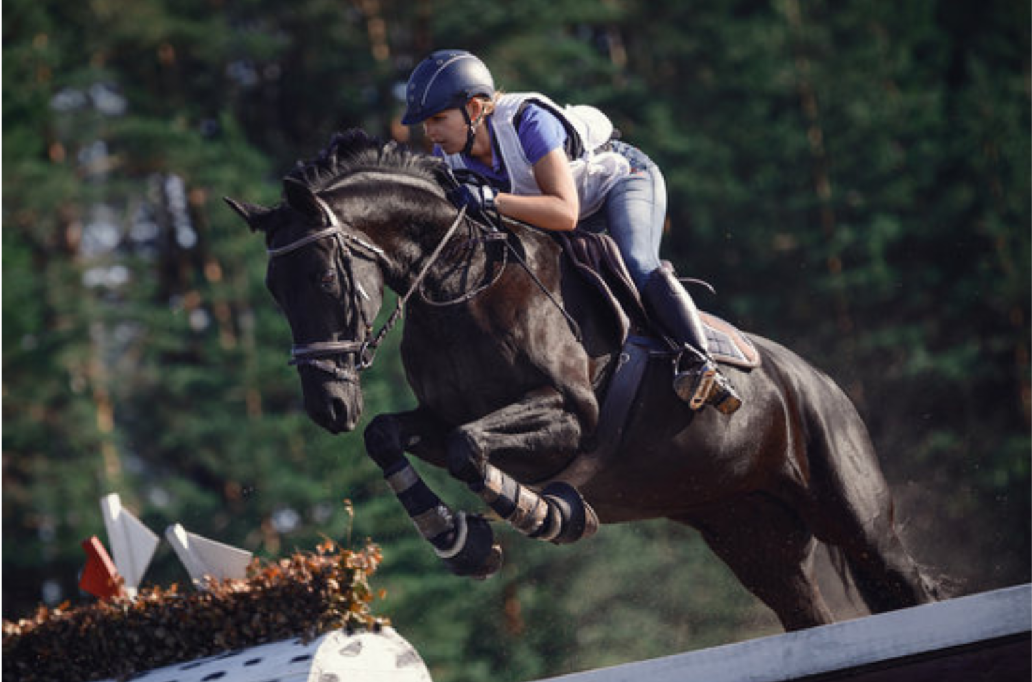 Horse and rider mid-jump over an obstacle in profile, illustrating intuitive breakthroughs beyond traditional training