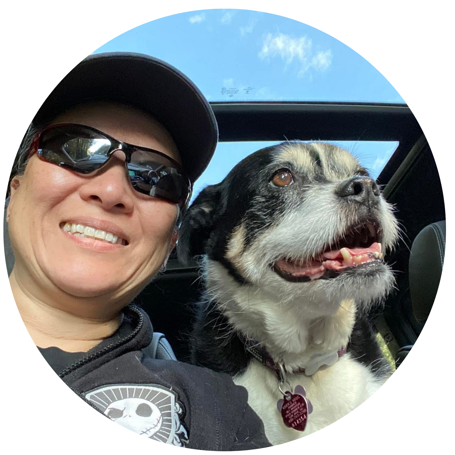 - Smiling woman and dog looking forward in a car with sunroof open to blue sky, reflecting joy and companionship - Smiling Man in Professional Setting Alt Text: Confident man smiling at camera in a professional environment, representing clarity and transformation - Smiling Woman’s Face Alt Text: Close-up of smiling woman’s face, radiating warmth and personal growth - Woman Sitting by Tree Trunk Alt Text: Smiling woman seated with arms around her shins across a tree trunk, symbolizing grounded reflection and emotional ease  Would you like me to continue with the Competitive Horse Communication page next? I can also help you organize all these alt texts into a spreadsheet or checklist for easy GHL implementation.