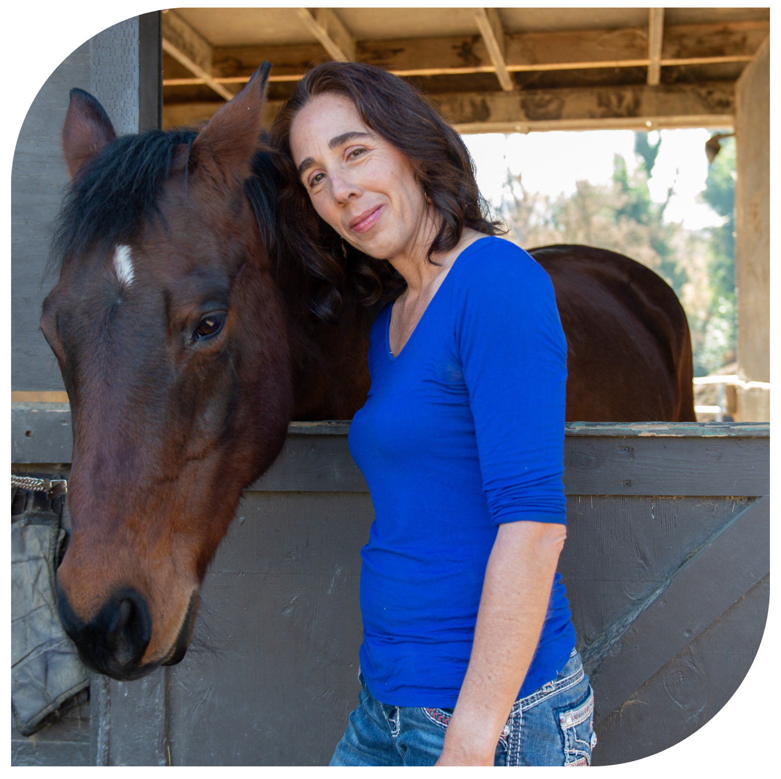 Monica gently connecting with horse at stall door, reflecting emotional depth and intuitive care