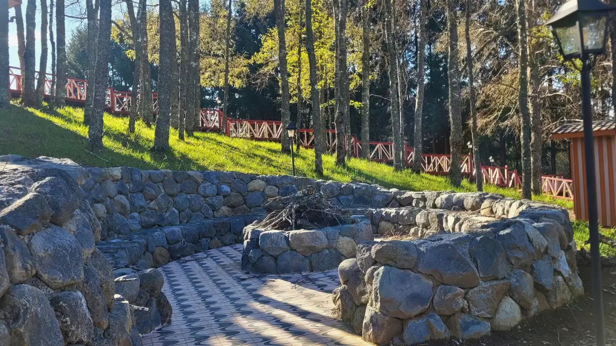 Fogón de piedra con asientos circulares en el área común del bosque