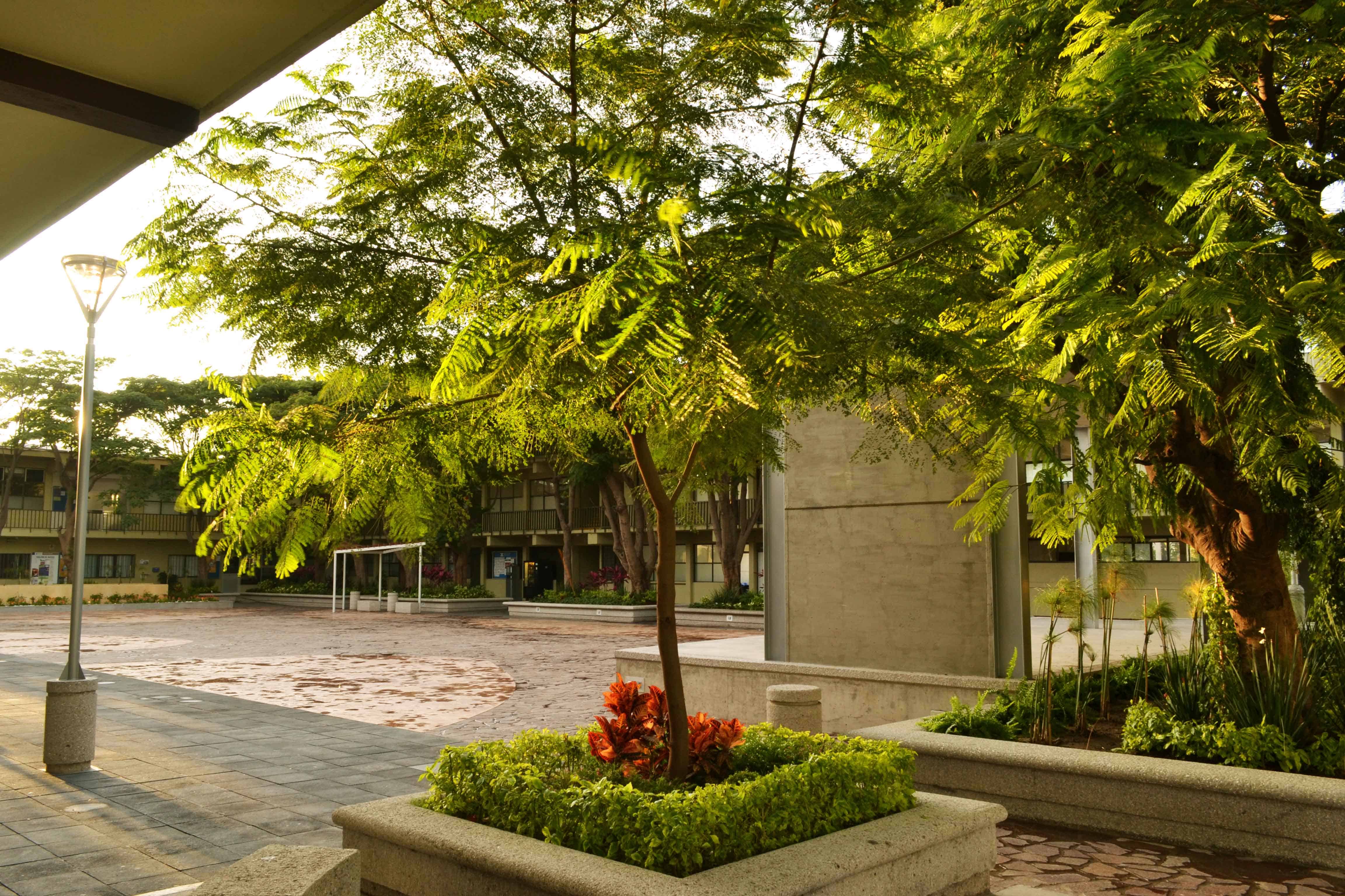 Instituto Irapuato