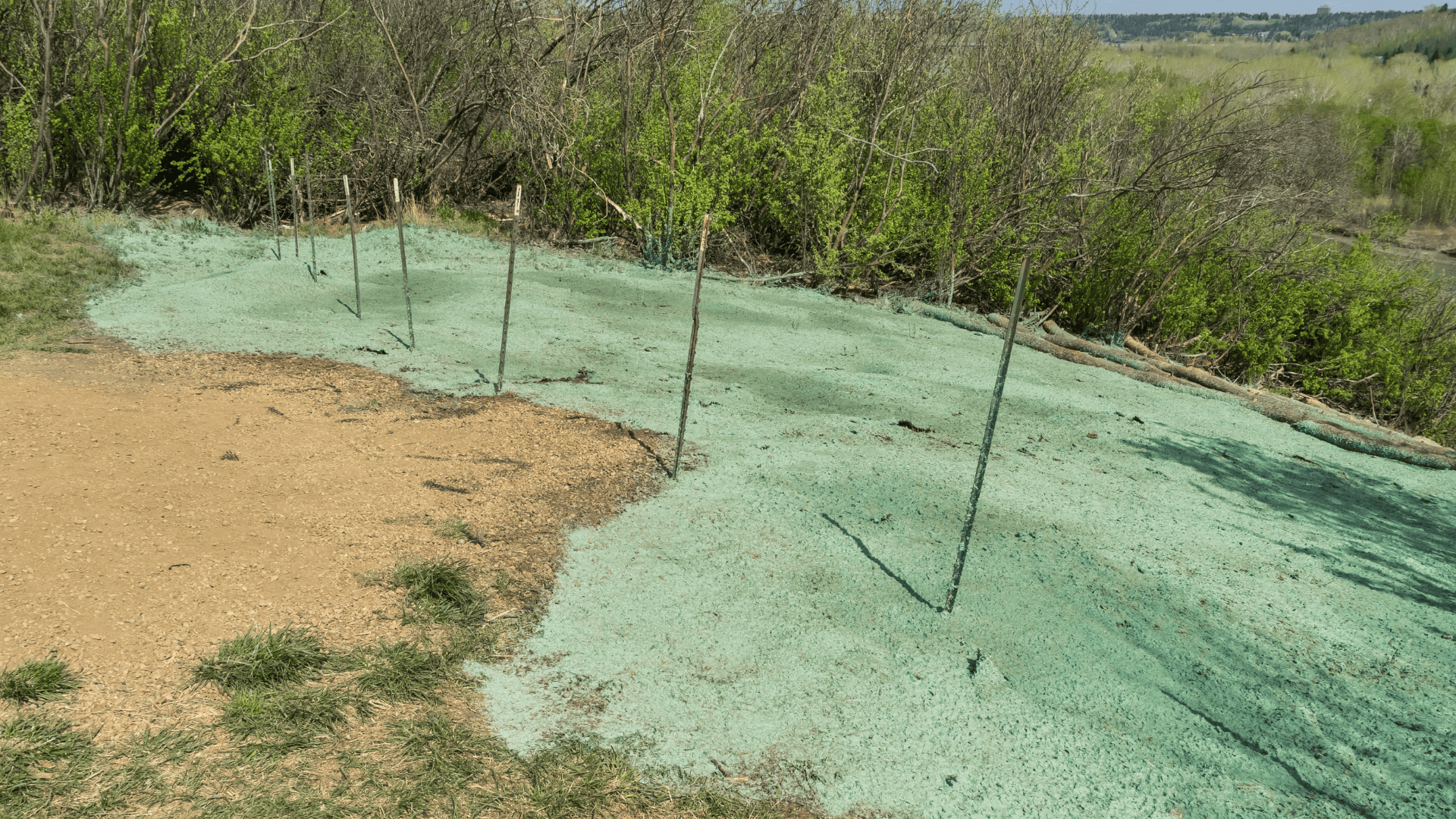 Cheshire Hydroseeding