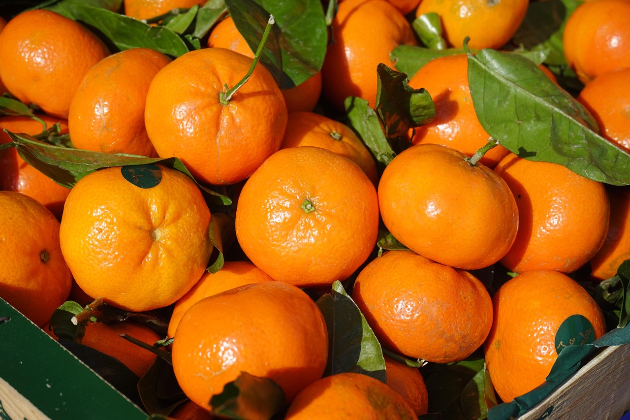 Citrus and orange pollination planning in Limpopo