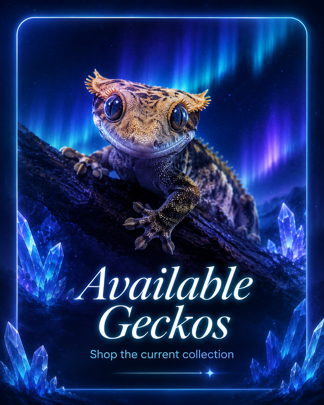 Available Geckos