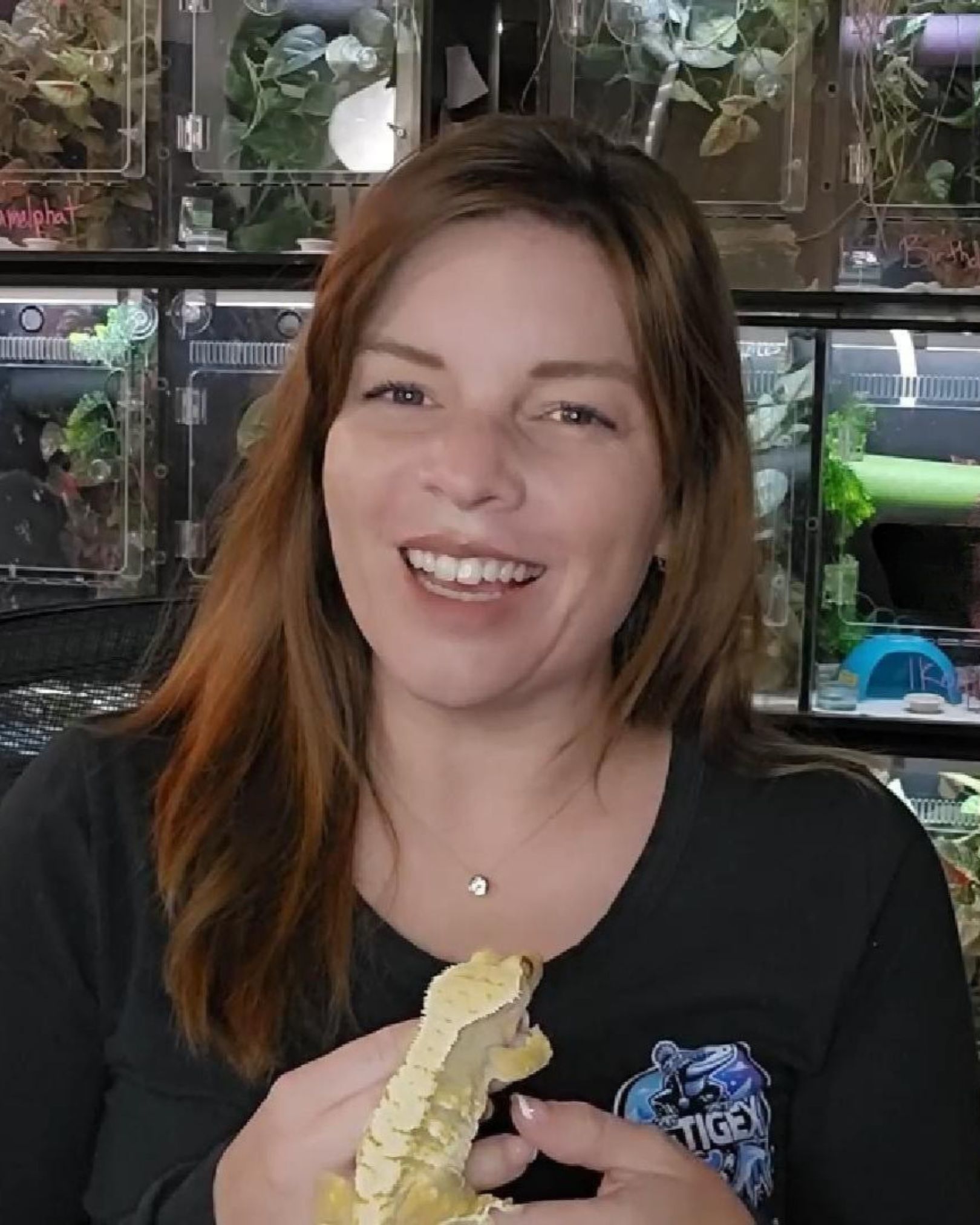A crested gecko cared for by YetiGex