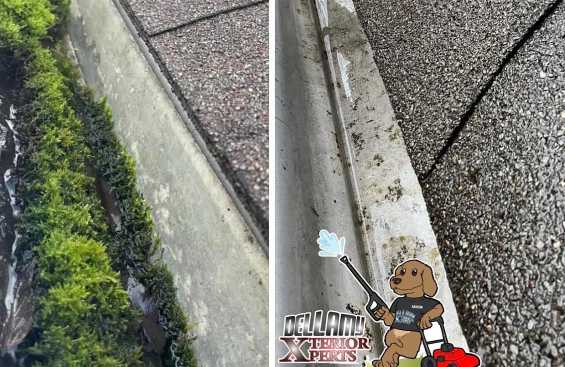 soft wash roof cleaning asphalt shingles Paducah KY