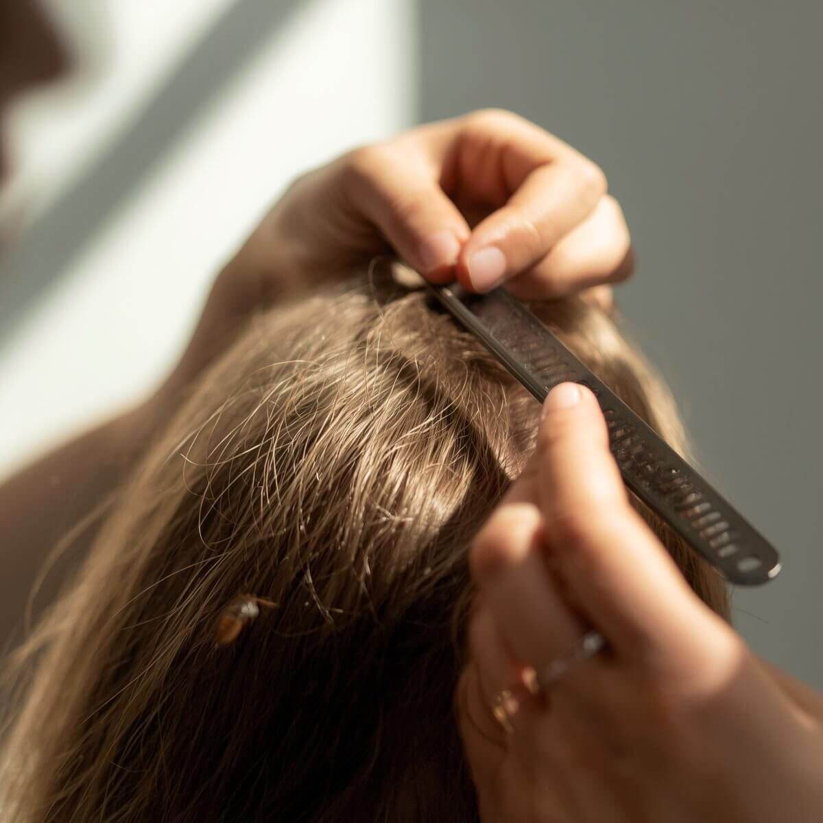 School notice or alert about head lice exposure in a child’s classroom