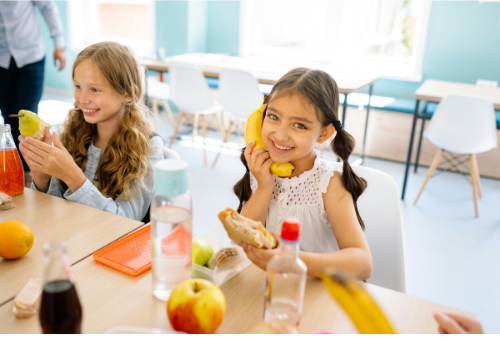 atlanta lice treatment 