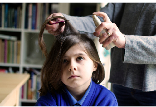 lice prevention tips