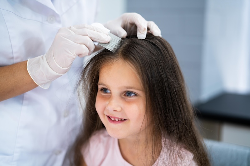 Professional Solutions for Lice Management: A Strategic Approach