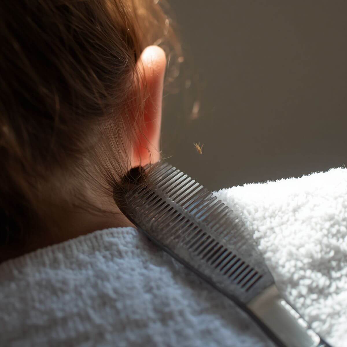 Parent learning effective head lice prevention tips while checking a child's hair with a nit comb. Parent learning effective head lice prevention tips while checking a child's hair with a nit comb.