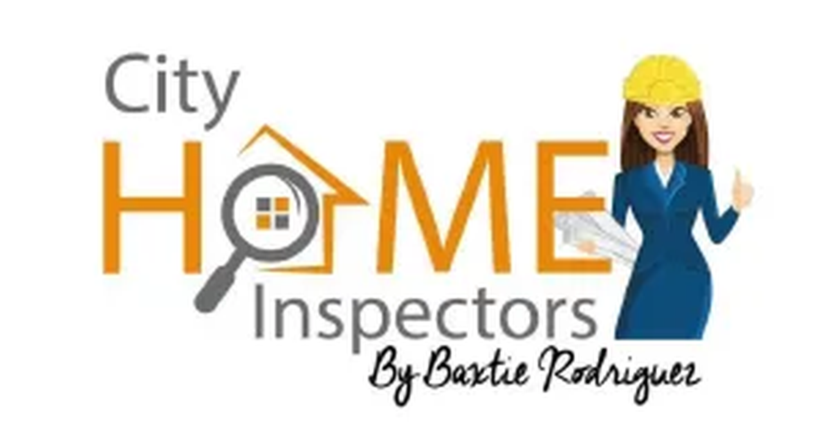 City Home Inspectors