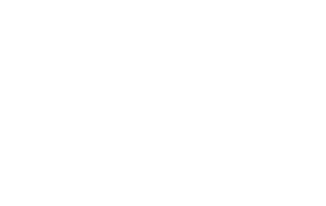 Fast Lane Drive