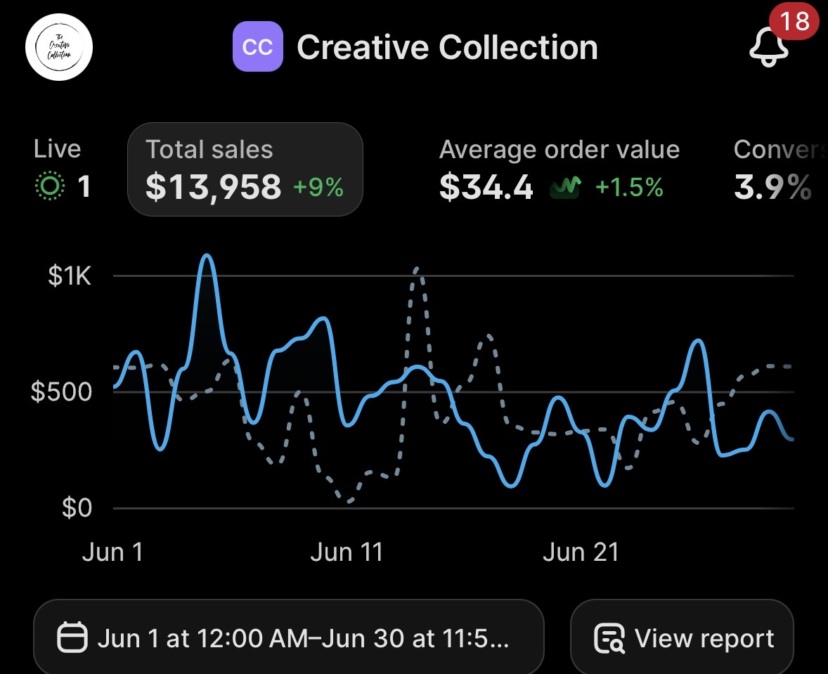 Shopify dashboard showing $13,958 in sales in a single month