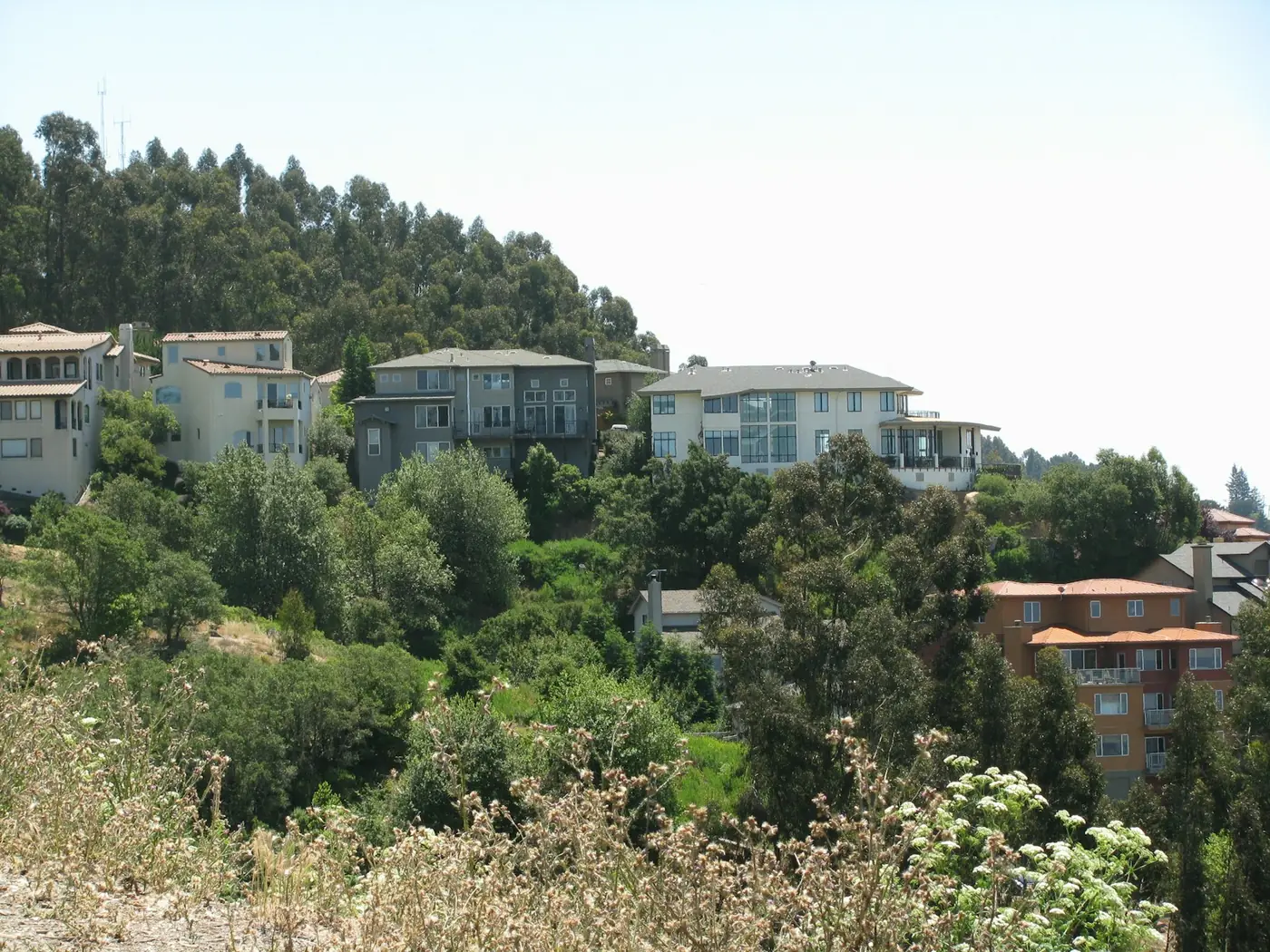 Californian hillside homes stepping down through mature trees.