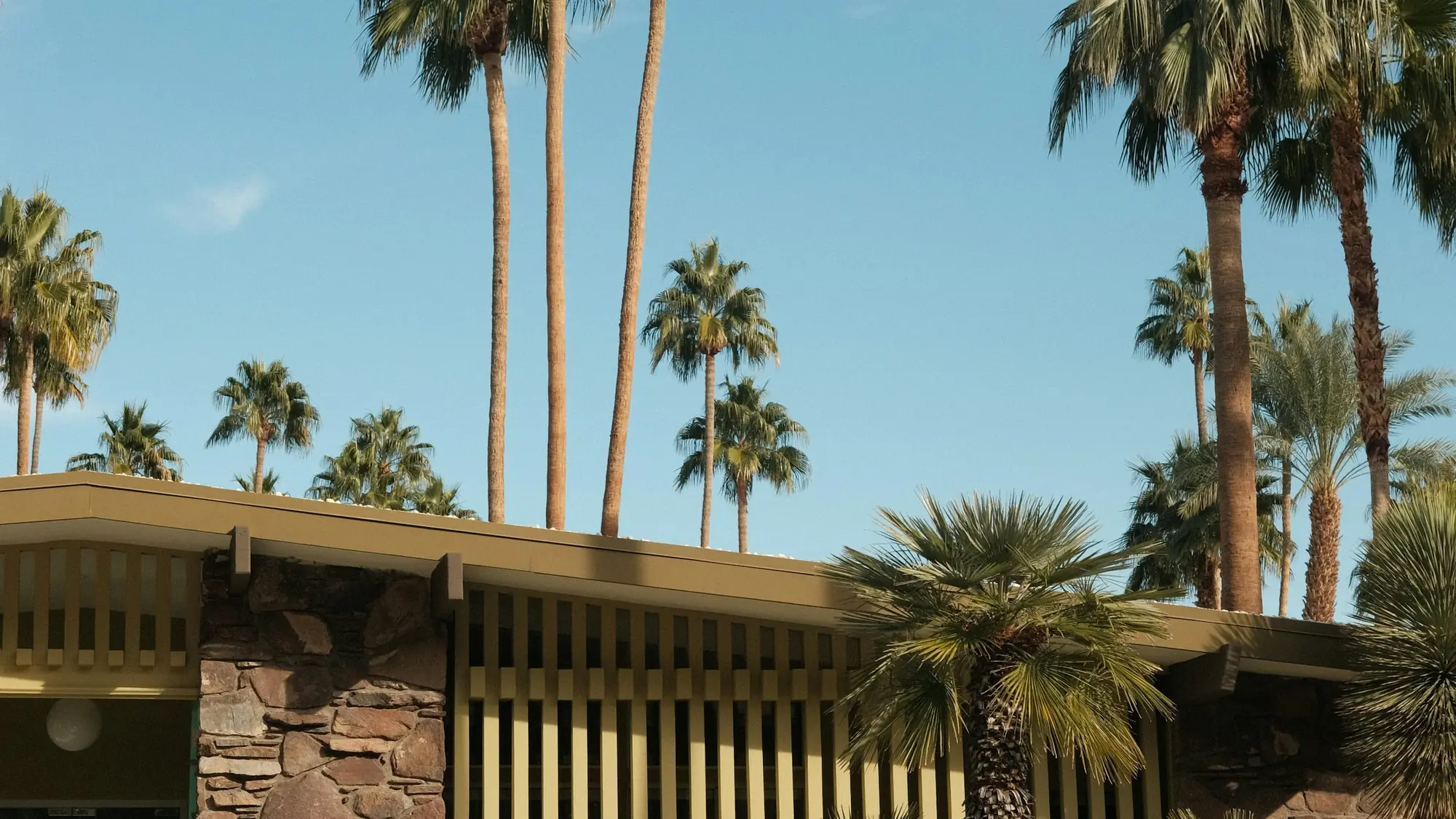 A mid-century modern California residence with stone walls and mature palms under open sky.