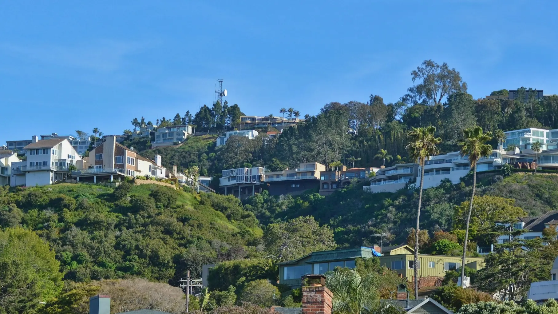 Homes terraced across a Californian hillside beneath palms and open sky.