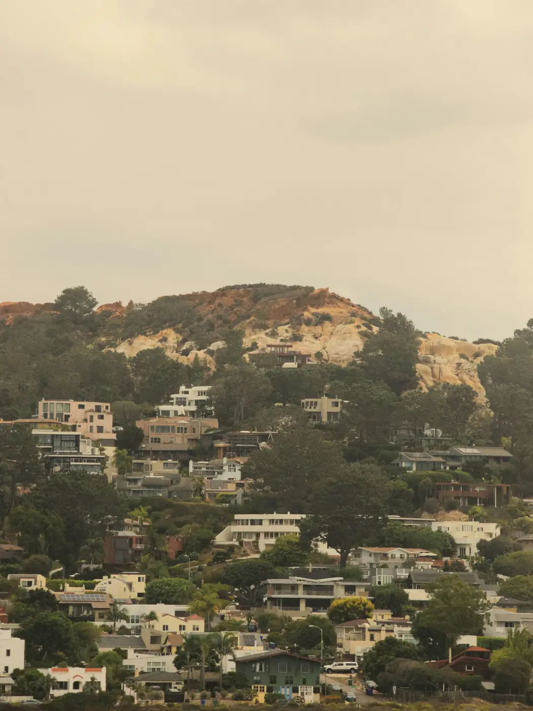 Houses scattered across a tree-covered East Bay hillside.
