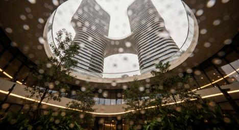 The Regenerative Strategist 