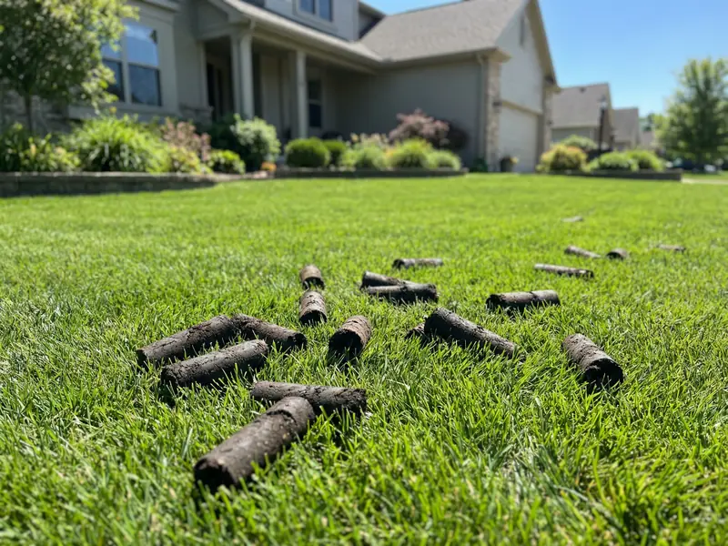 Lawn Aeration & Overseeding Oakland County MI | Elowsky Lawn Services | Elowsky Lawn Services