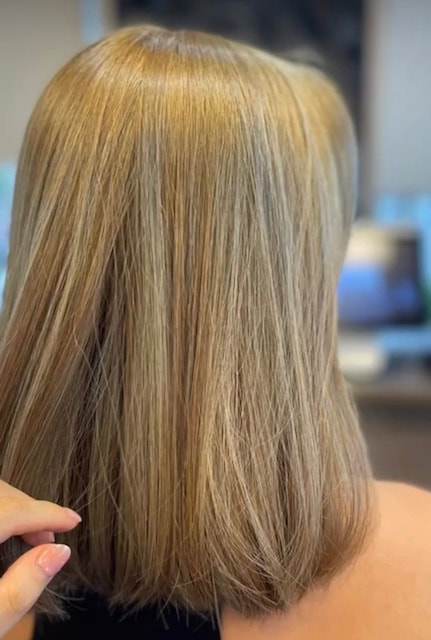 Back view of a straight light-brown bob.