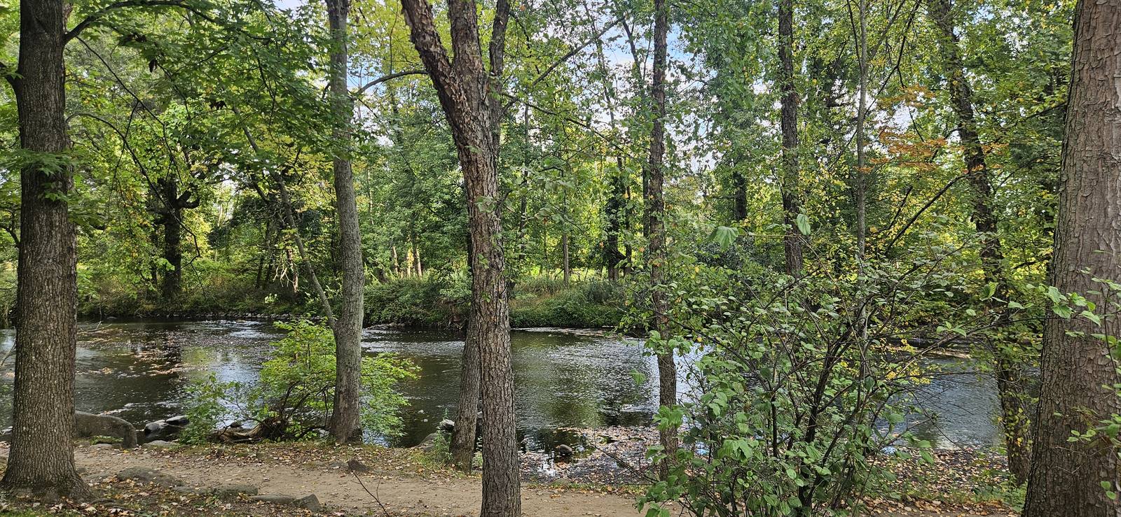 Riverside walking trail under the trees in Denville, NJ