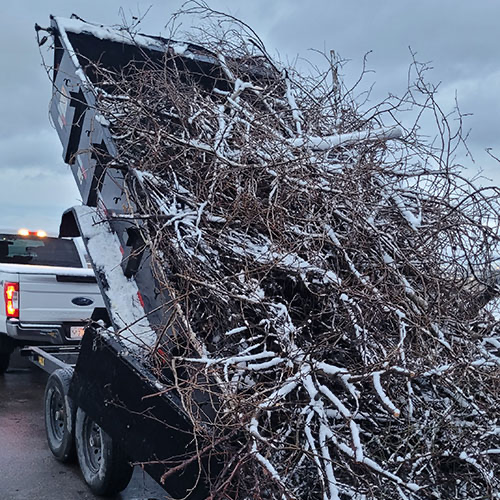 Why Dump Trailer for Trees Matters