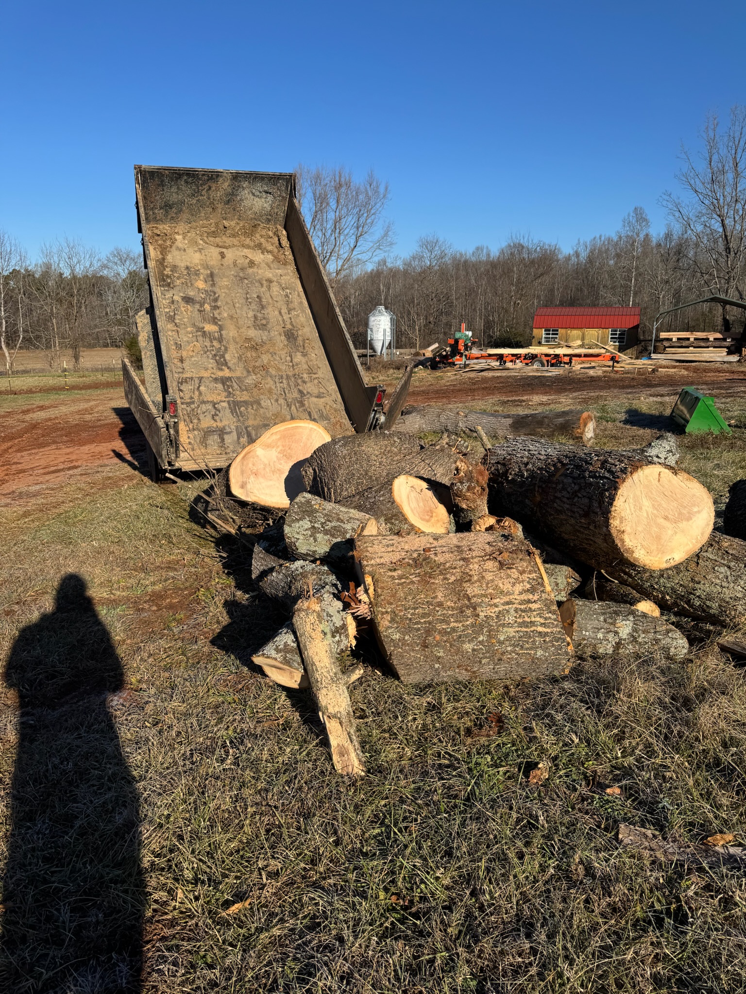 Dump Trailer for Trees