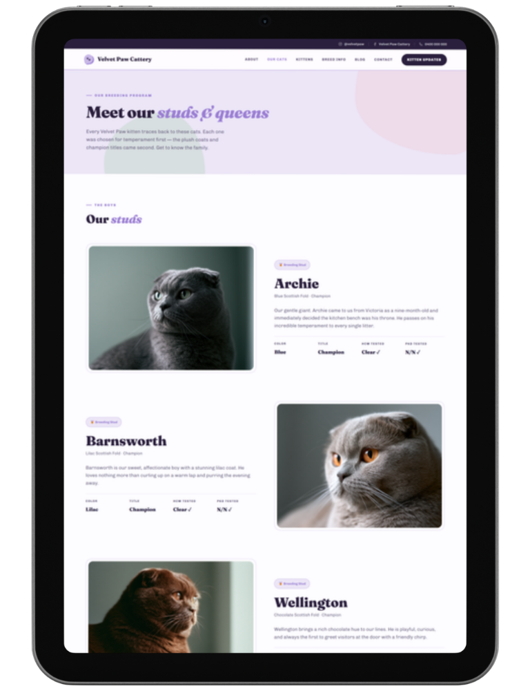 Bold Playful — design 2