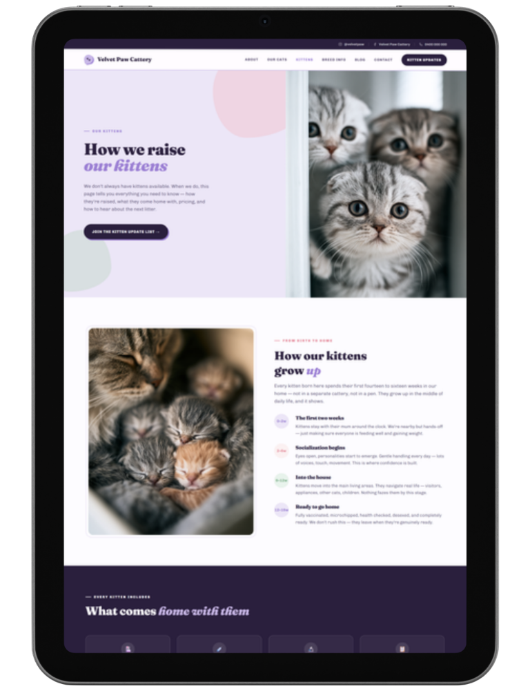 Bold Playful — design 3