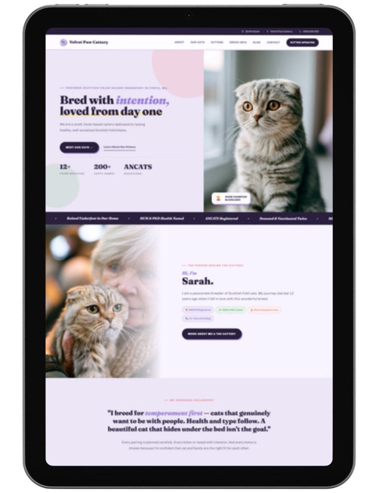 Bold Playful — design 1
