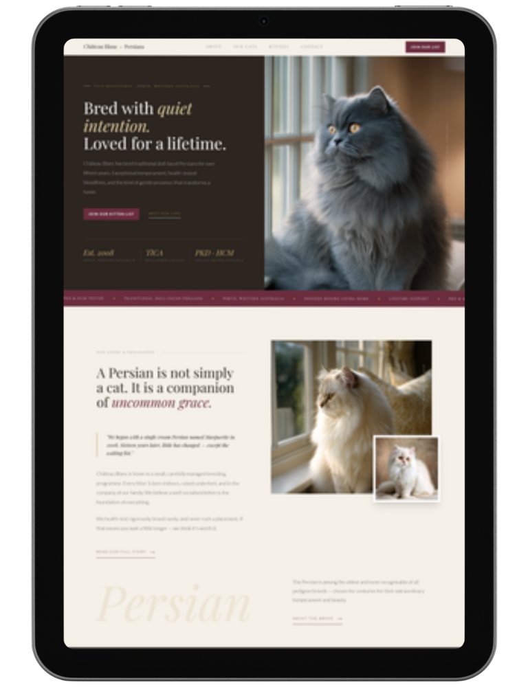 Chateau Blanc — design 1