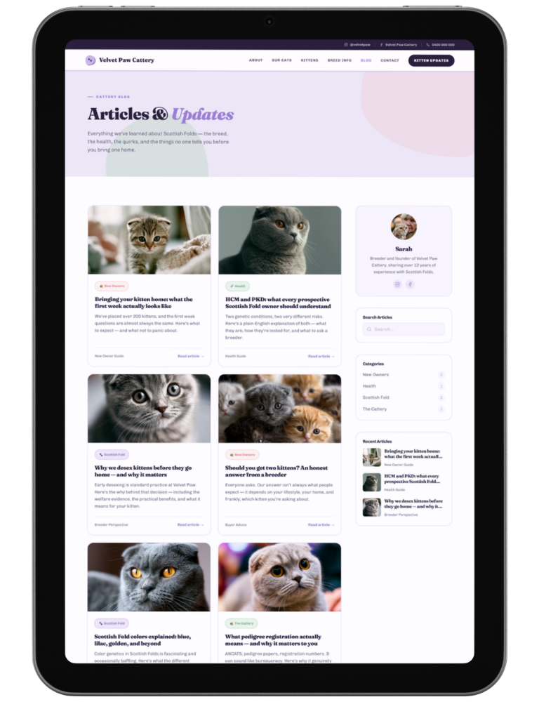 Bold Playful — design 4