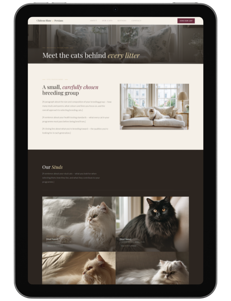 Chateau Blanc — design 3