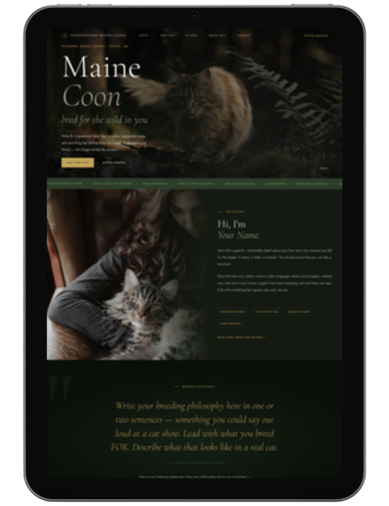 Into The Wild — design 1