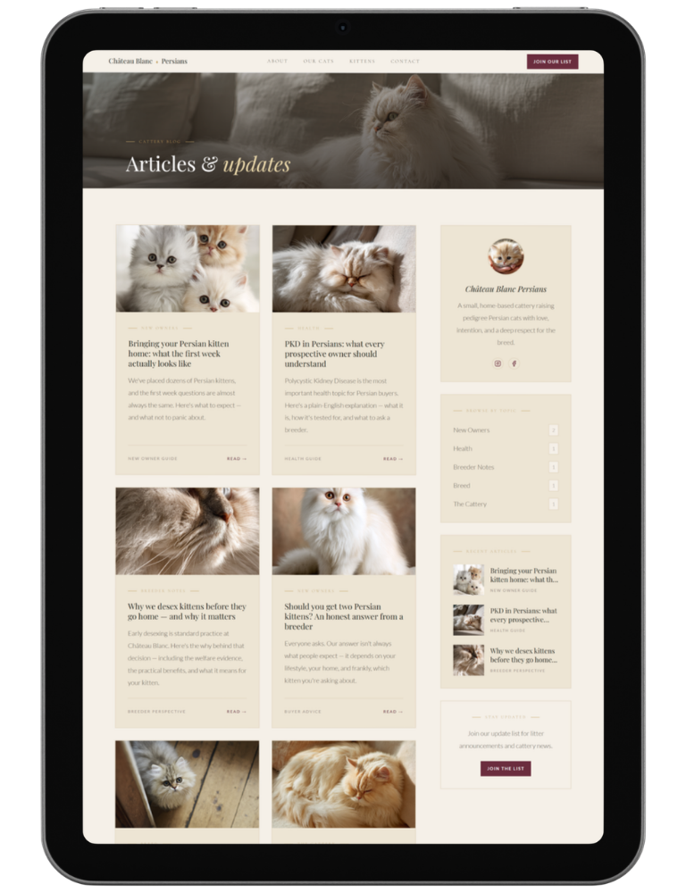 Chateau Blanc — design 4