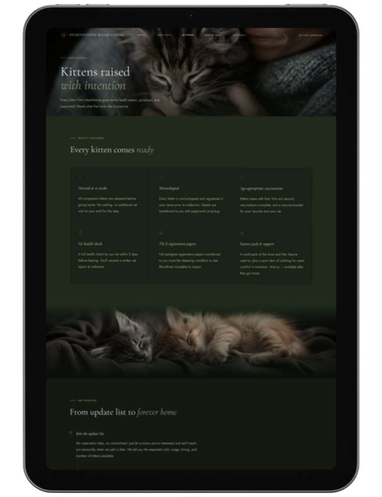 Into The Wild — design 2