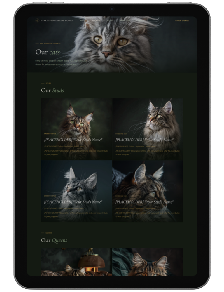 Into The Wild — design 3
