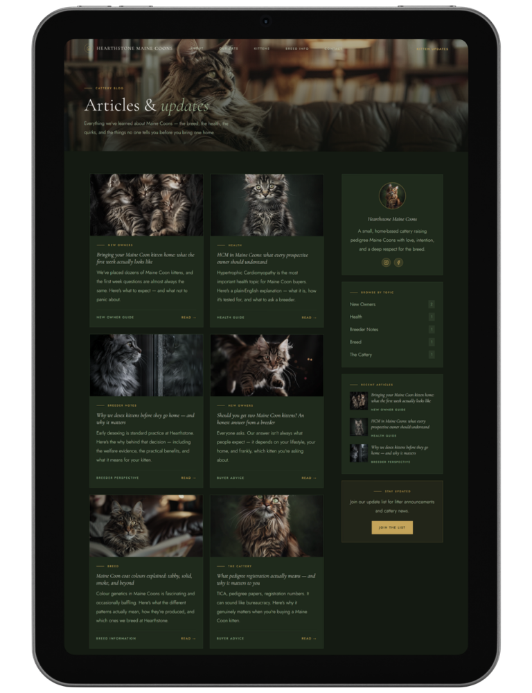 Into The Wild — design 4