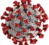 Illustration of Coronavirus