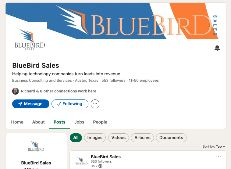 Unified brand presence — BlueBird Sales LinkedIn