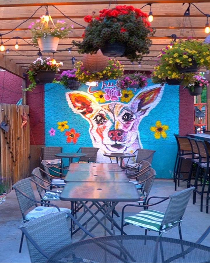 An outdoor patio area featuring a long table with wicker chairs and a high bar counter with stools. The patio is decorated with string lights, hanging plants, and umbrellas. A vibrant mural of a dog with large ears and a colorful face is painted on the wall in the background, adding a lively touch to the space. The patio is shaded by a wooden pergola, and a 'Topo Chico' branded umbrella is prominently displayed over the table.