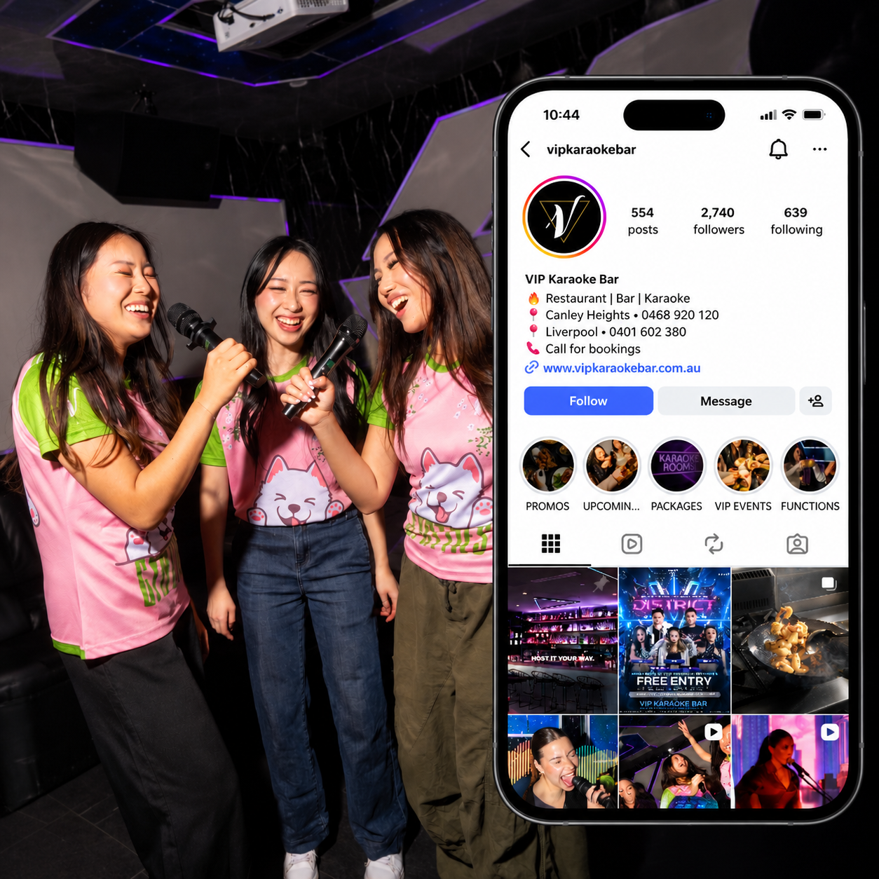VIP KARAOKE BAR
