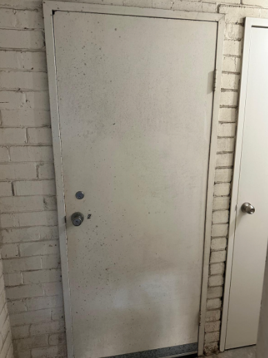 Mould Growth on Door Surface – Gladesville NSW Mould Growth on Door Surface – Gladesville NSW