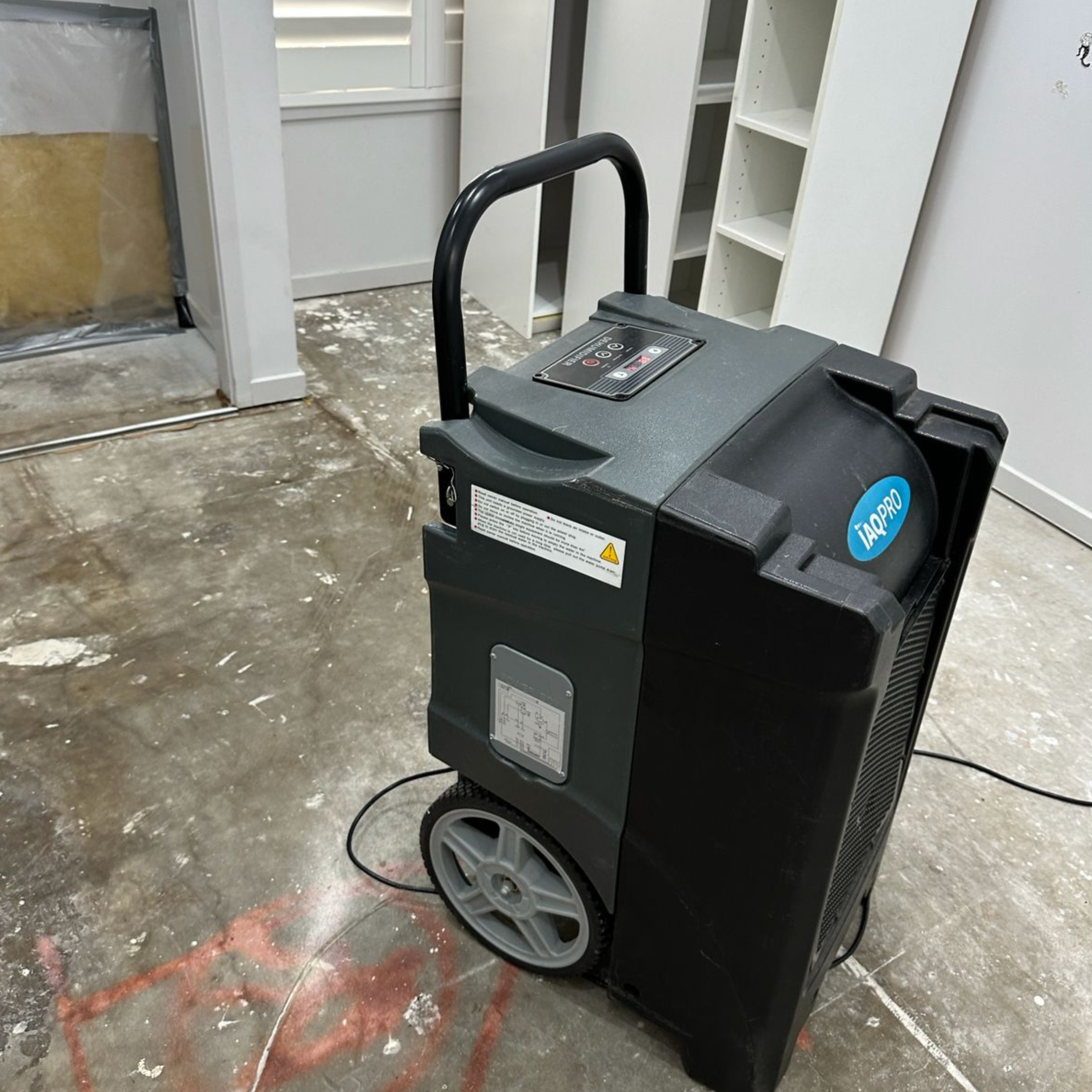 Mould damage in Oran Park home Mould damage in Oran Park home