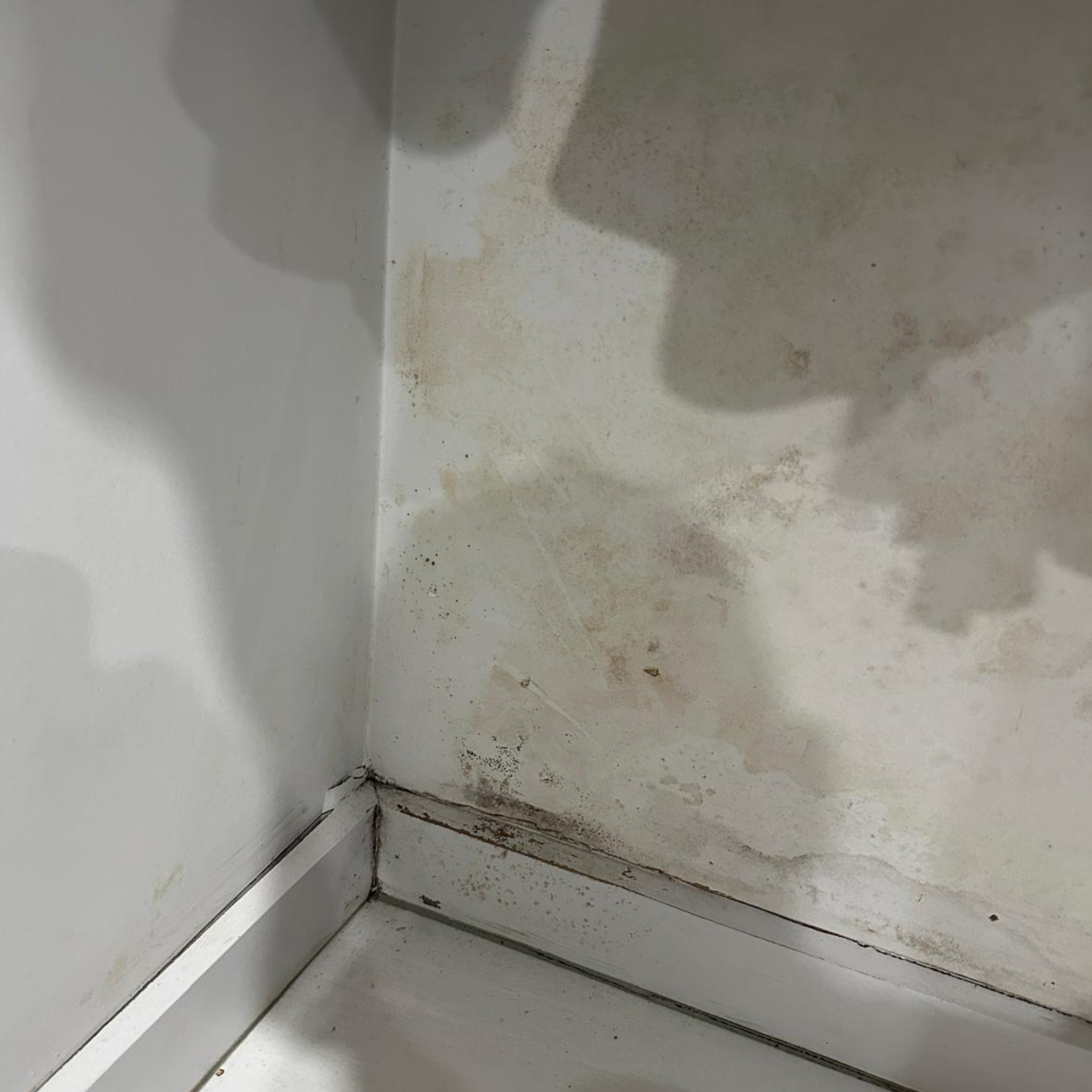 Mould damage in Oran Park home Mould damage in Oran Park home