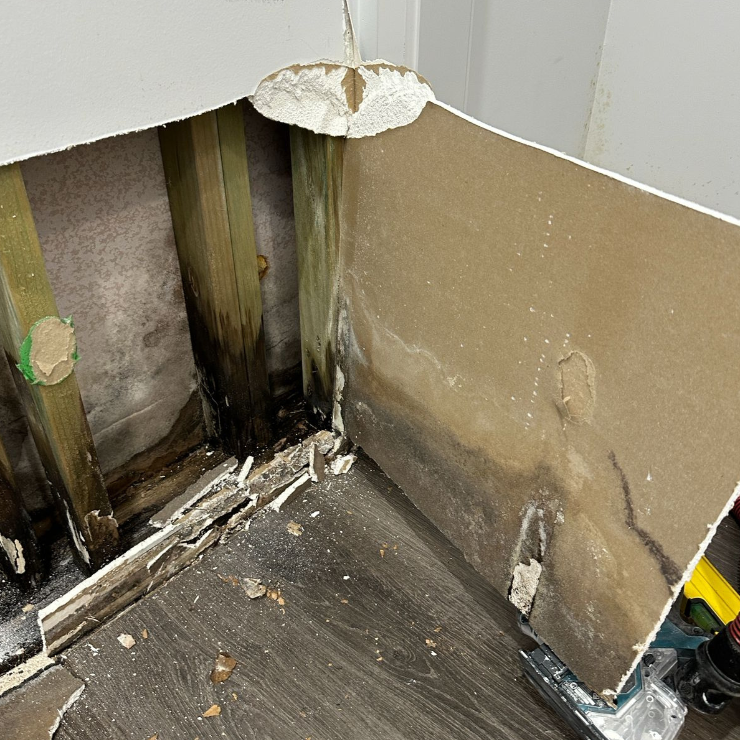 Mould damage in Oran Park home Mould damage in Oran Park home