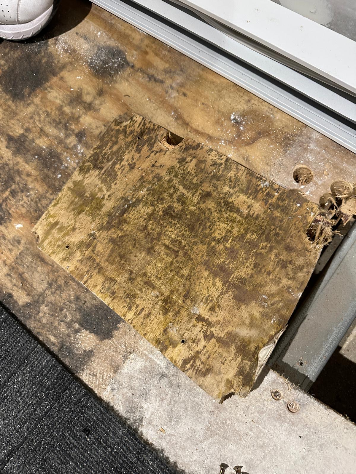 Clean or Remove Mould? It Depends on the Material