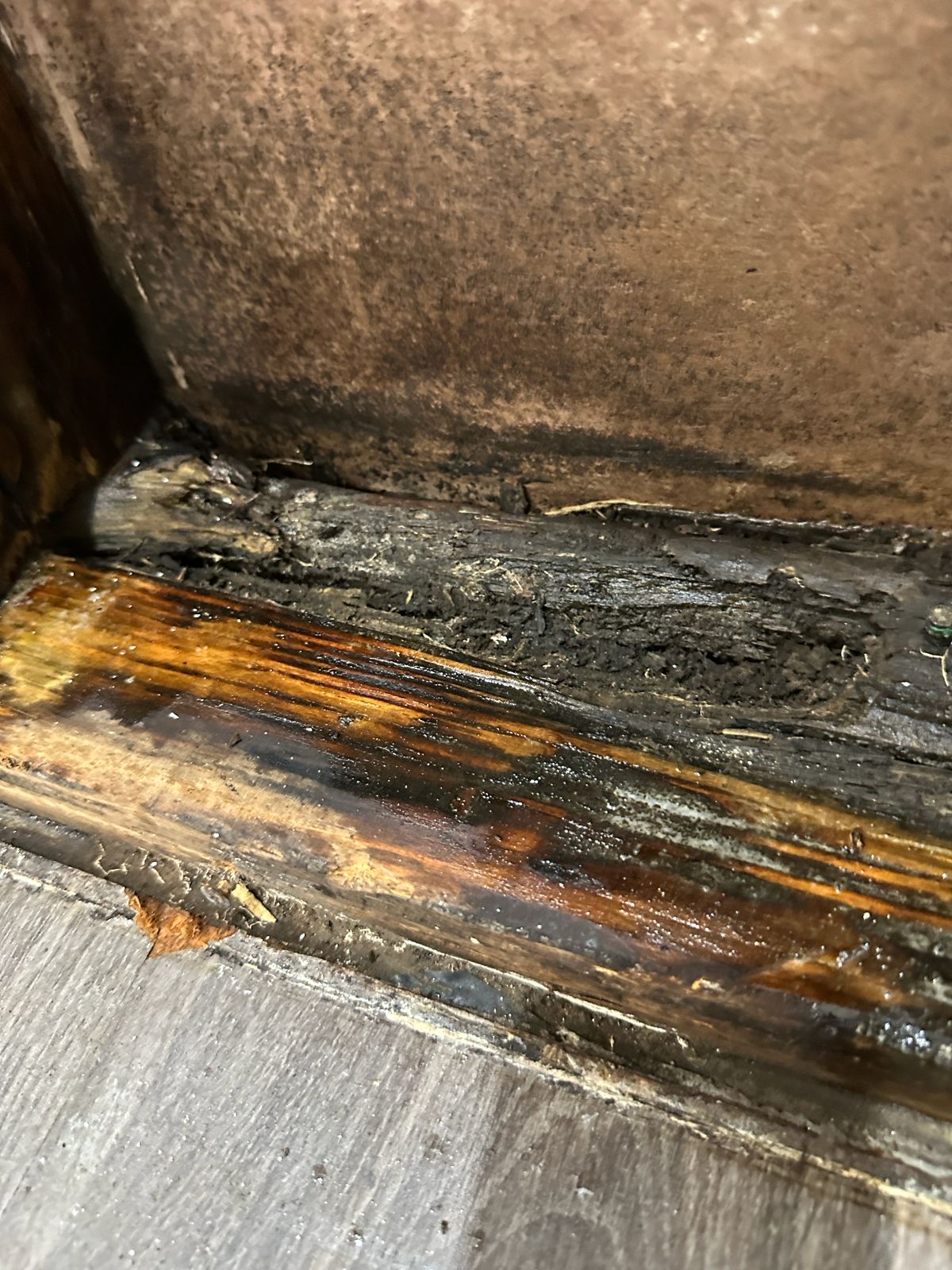 Clean or Remove Mould? It Depends on the Material